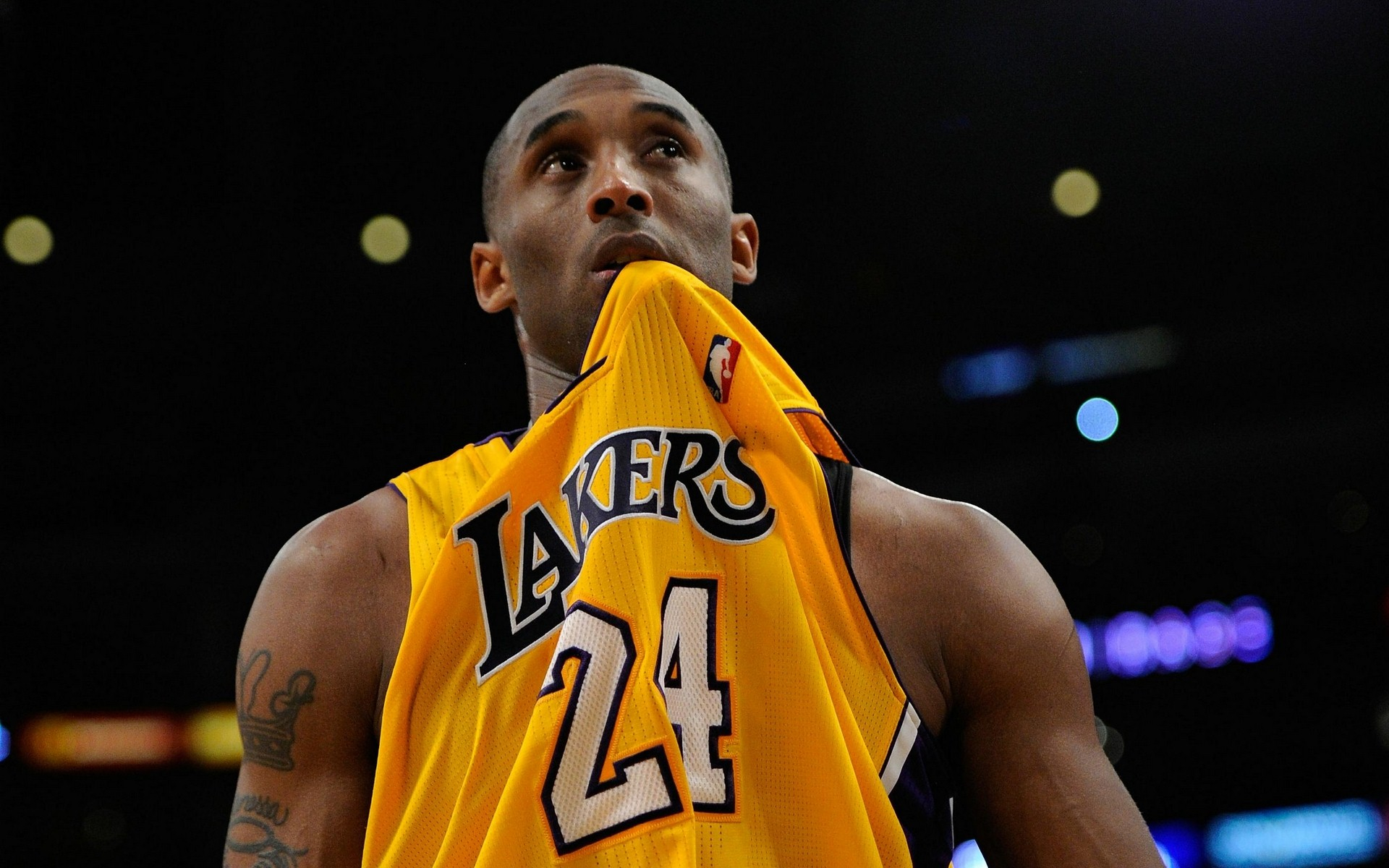 长码两度完 长码两度完